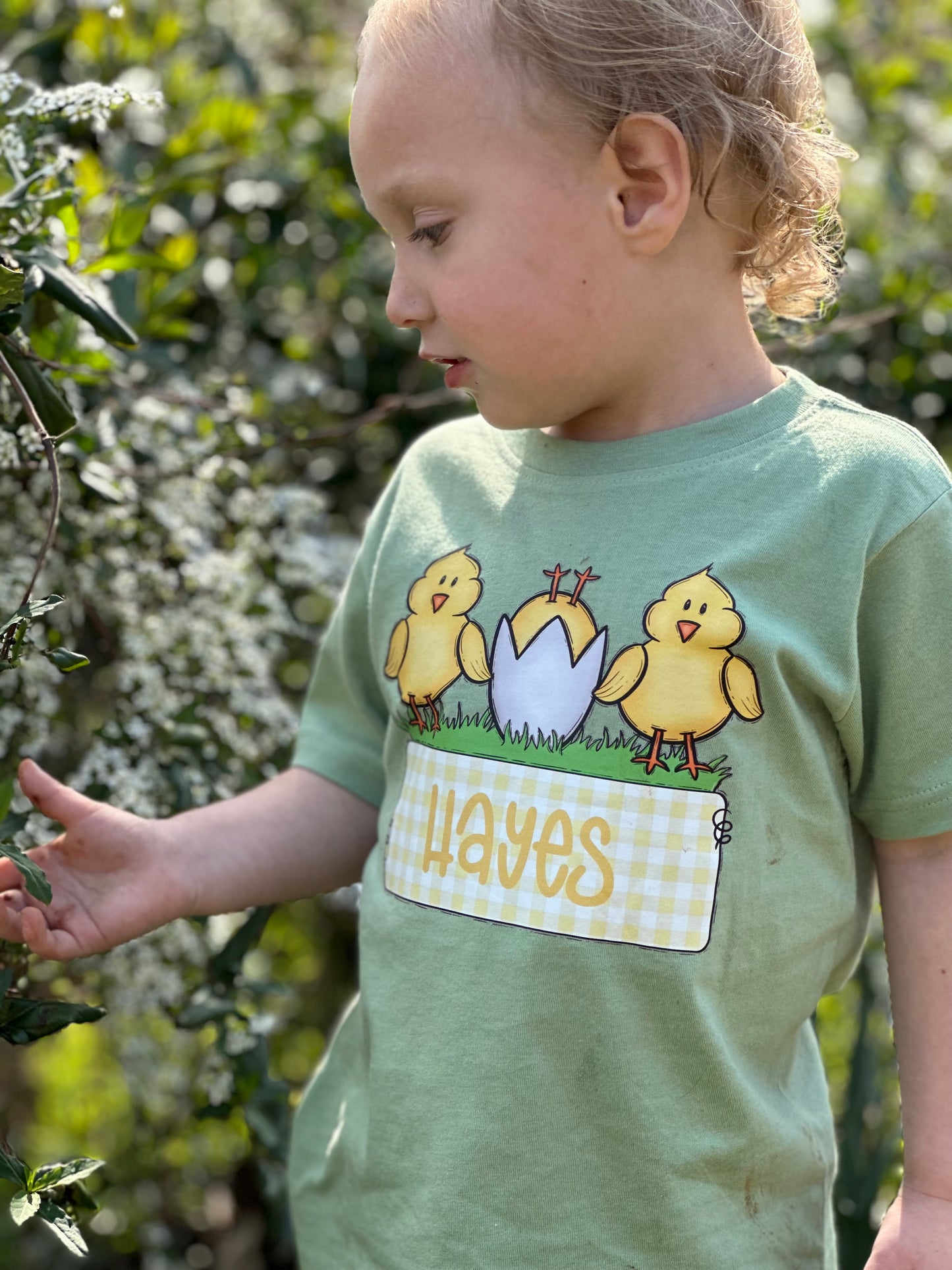 Easter Chicks