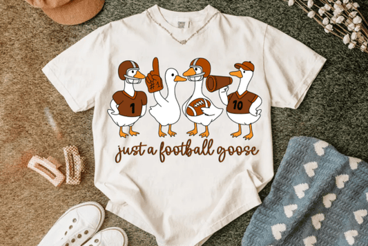 JUST A FOOTBALL GOOSE